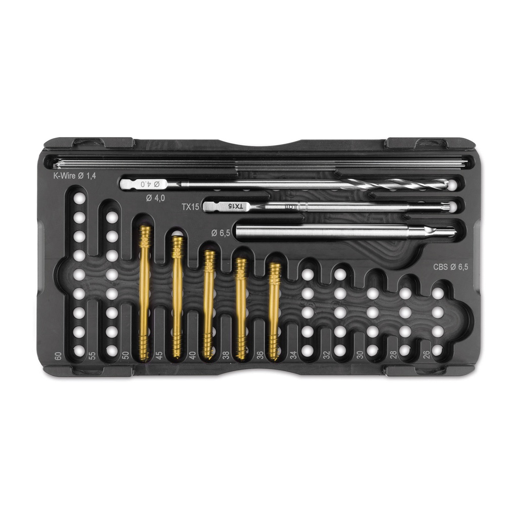 Set CBS Ø 6.5 mm - Cane taglia grande