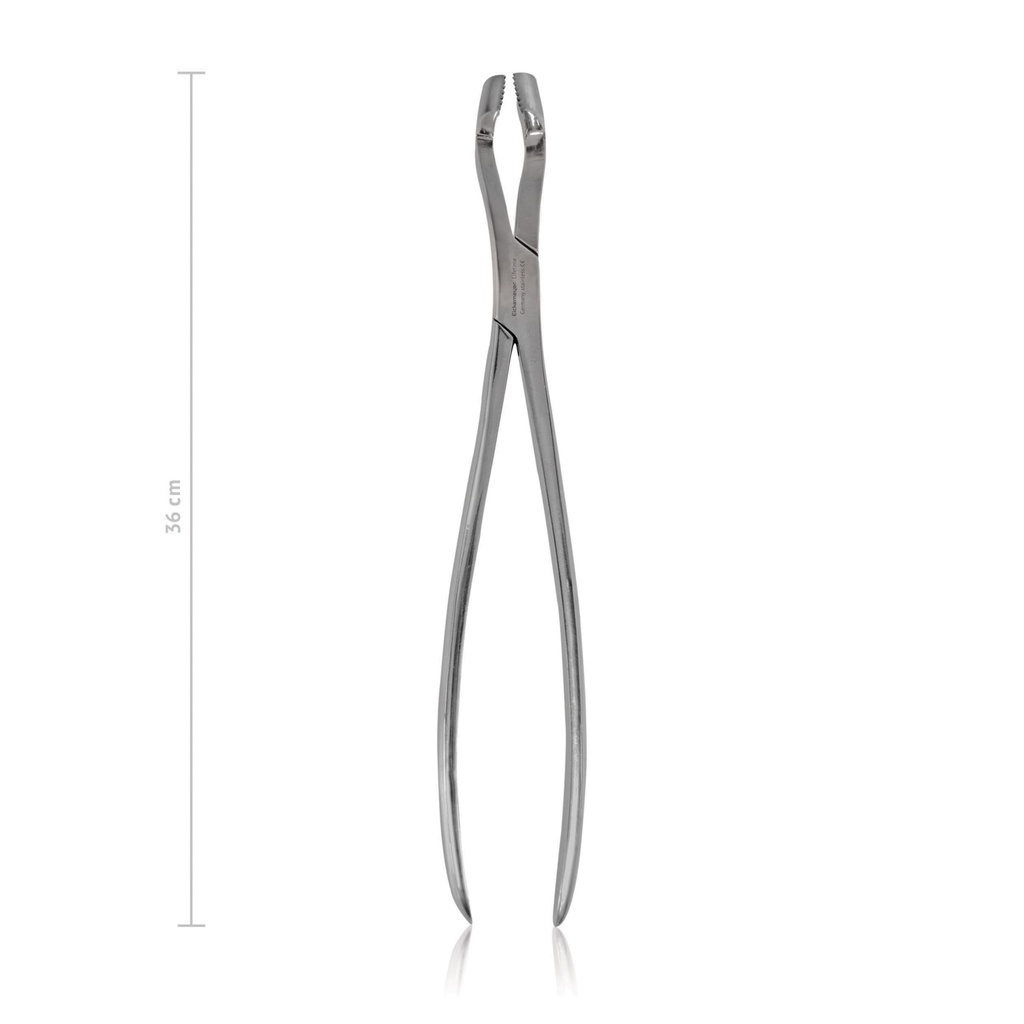 [177601502] Pinza estrazione per denti da latte WORLD WIDE EQUINE, L. 36 cm