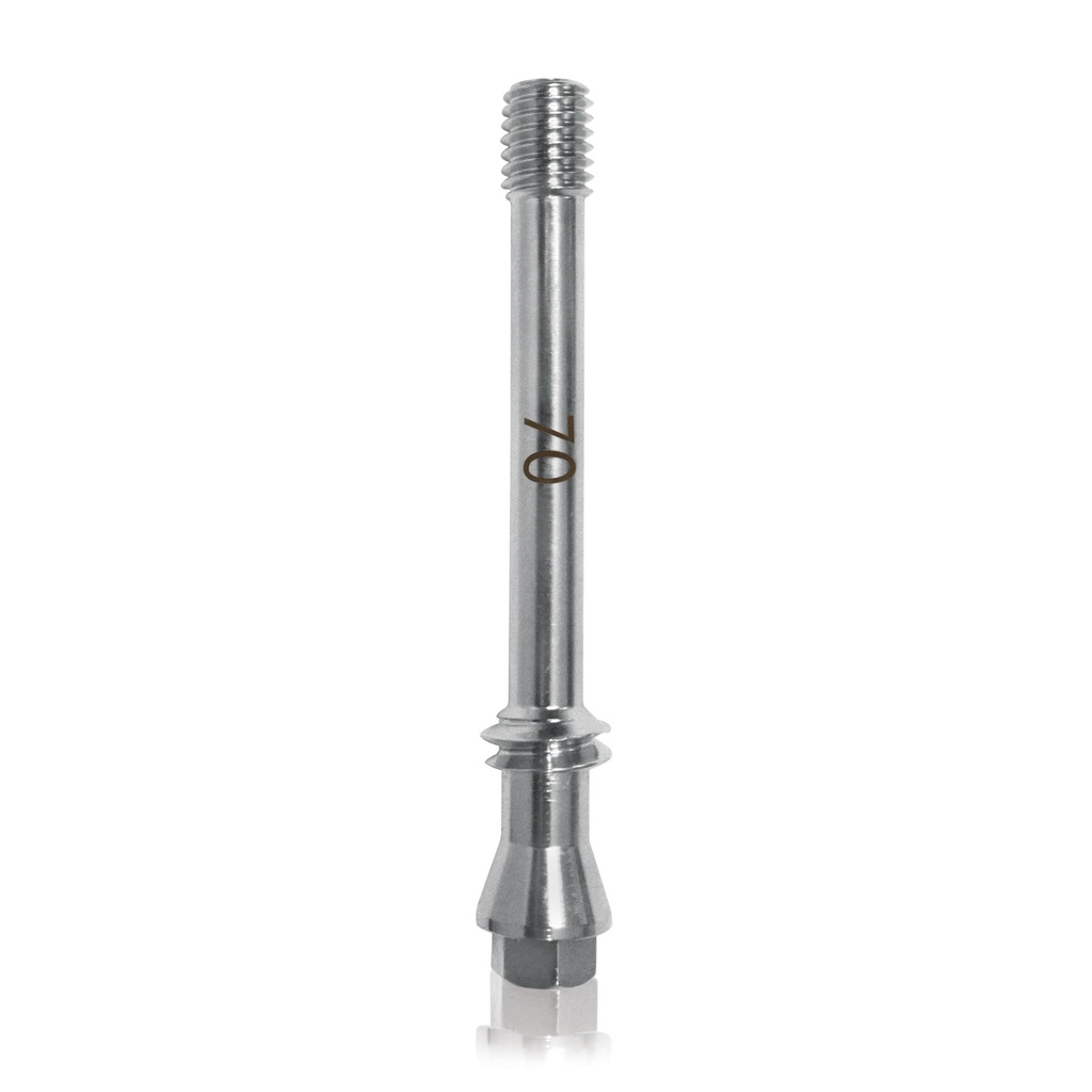 MTV – Implantat   6 x 70mm Implantatstahl neues Modell