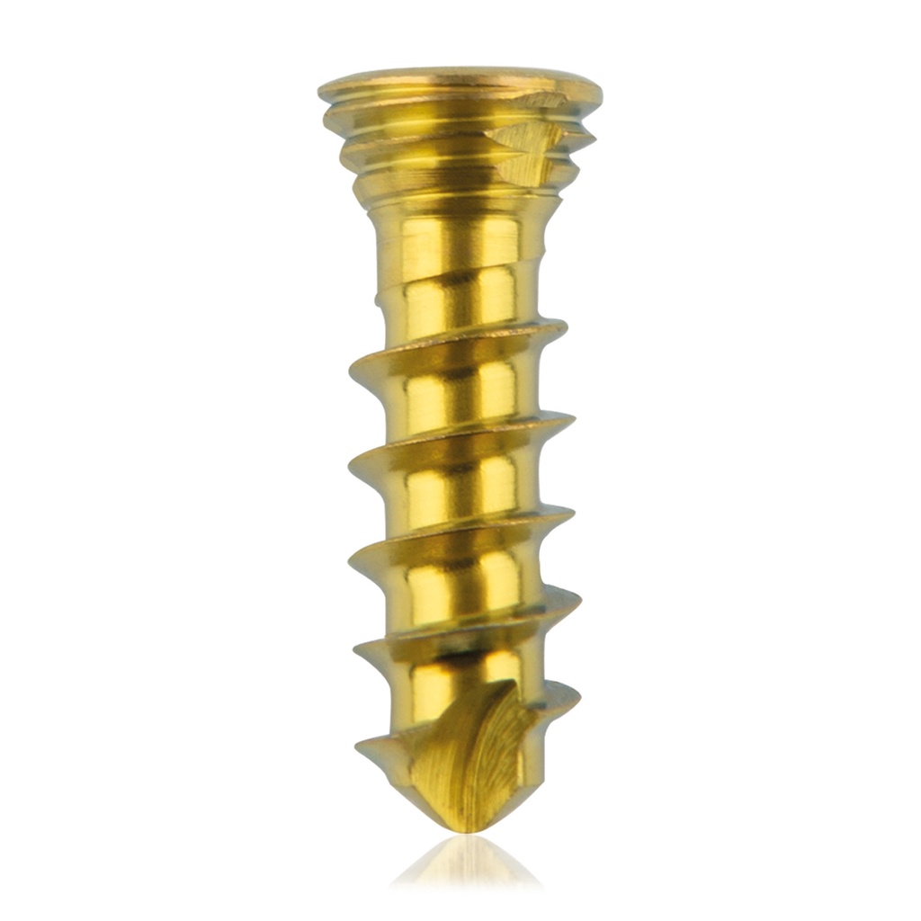 [185528] Vite bloccata in titanio Ø2.3x 8mm multidirezionale, oro, Torx 6 autofilettante, autoperforante