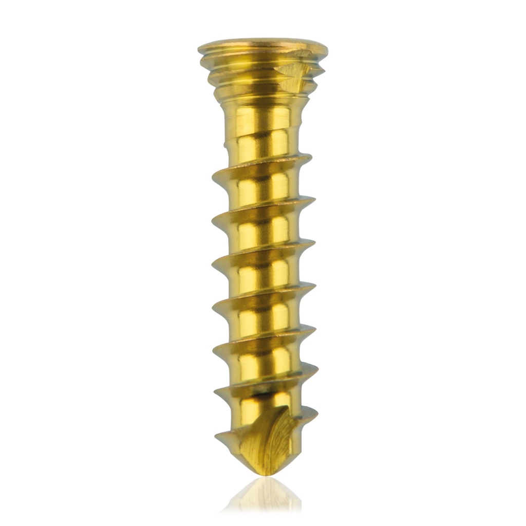 [185529] Vite bloccata in titanio,  Ø2.3x 10mm multidirezionale, oro, Torx 6 autofilettante, autoperforante