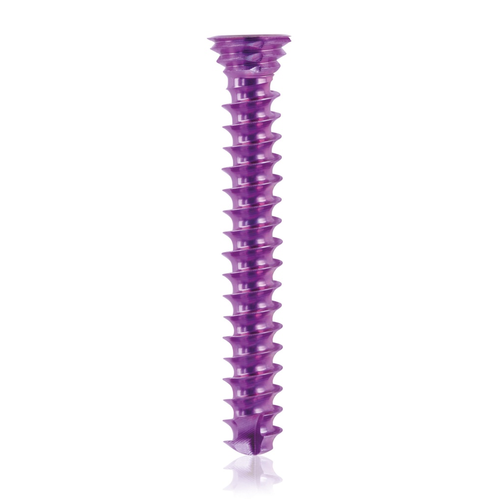 Vite bloccata in titanio, Ø 3,5 x L 24 mm, Torx 10
