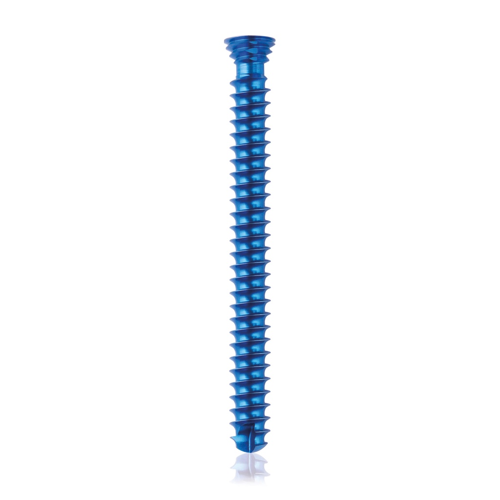 Titan- Verriegelungsschraube Ø4.0x 38mm, multidirektional, silber Torx 10