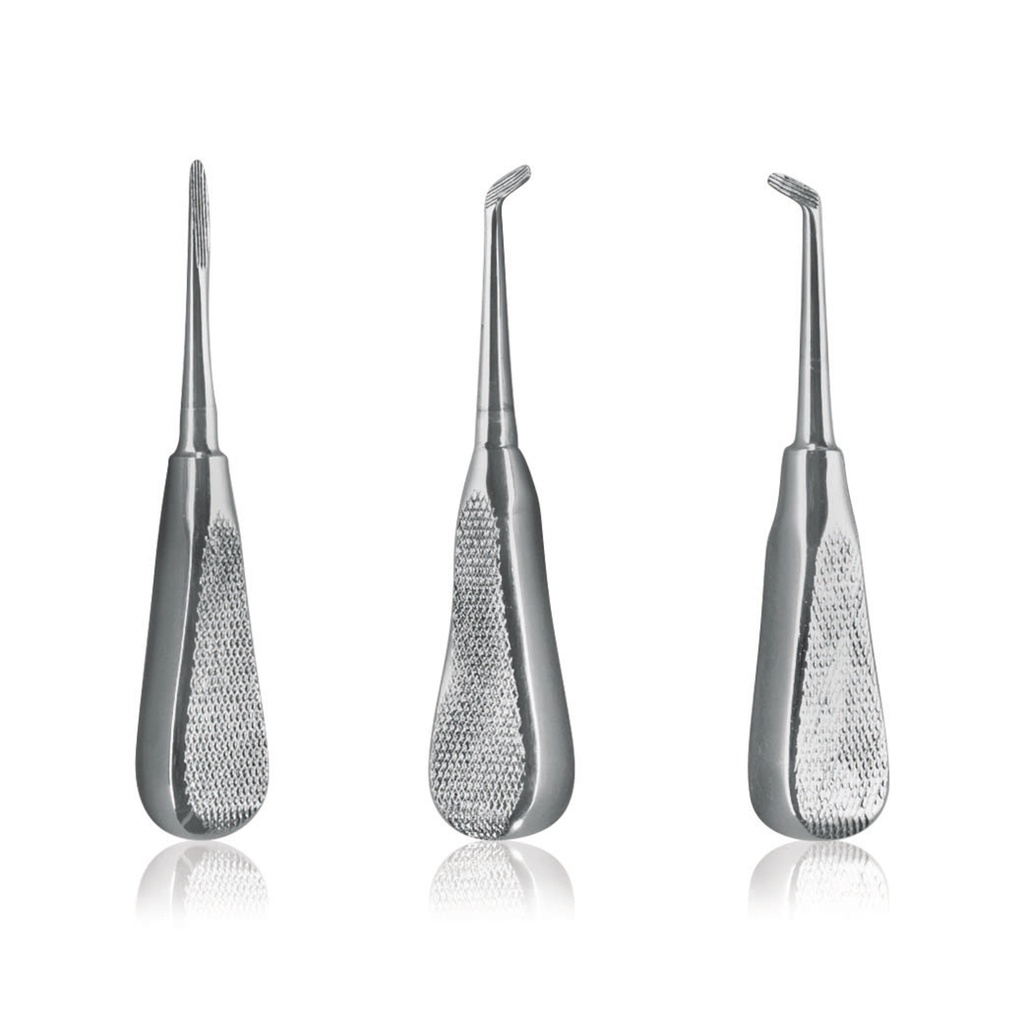 Set leva radici World Wide Equine per rimuovere denti lupini e denti danneggiati, taglia larga 3 mm,