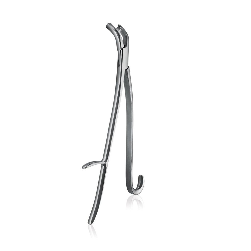 [177525] Pinza denti per cavalli Word Wide Equine tipo REYNOLDS, modello pesante, curvato verso sotto, 43 cm