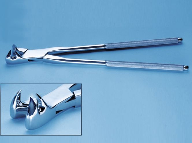 Pinza denti per cavalli Word Wide Equine per estrazione dei molari con poca corona (cavalli vecchi), 48 cm