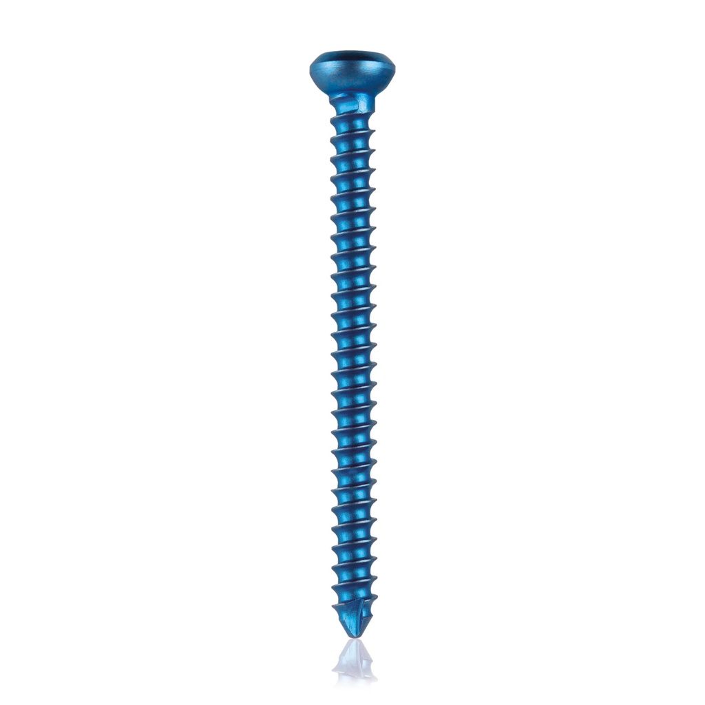 [19103701] Vite autofilettante D=2,4mm, L=28mm autofilettante, in titanio
