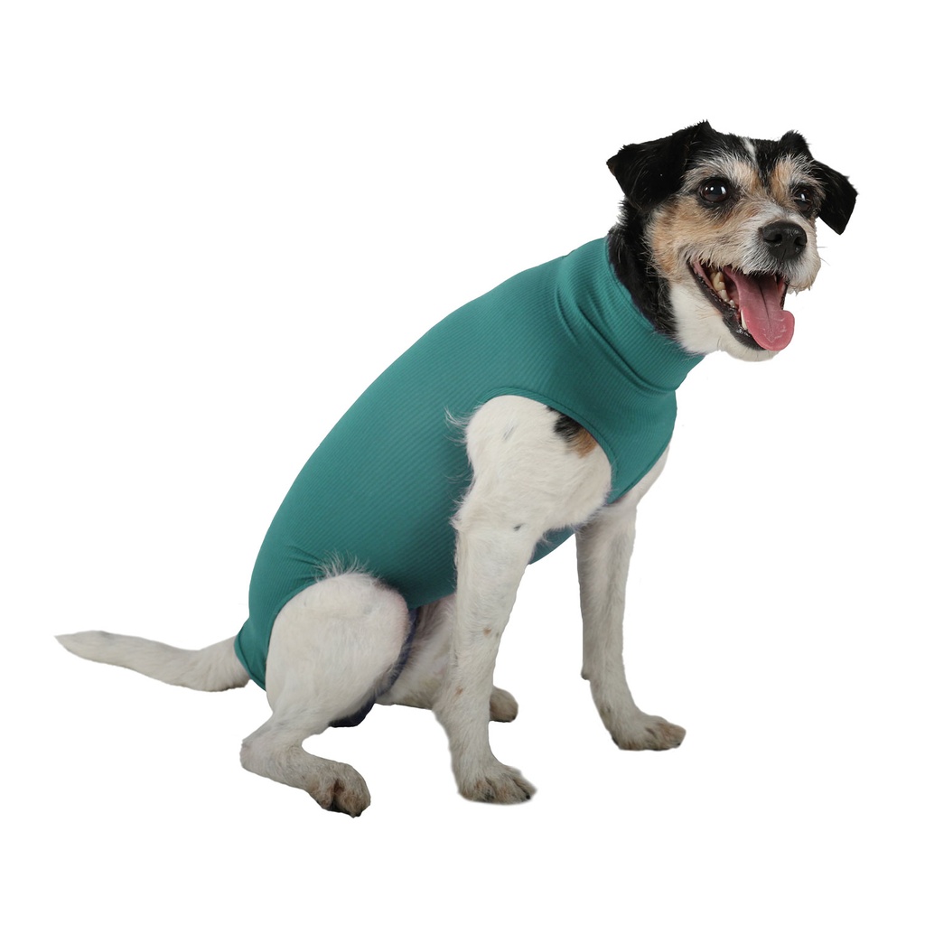 [VMC10028] VetMedCare kutyaruha, S plus méret, kanoknak