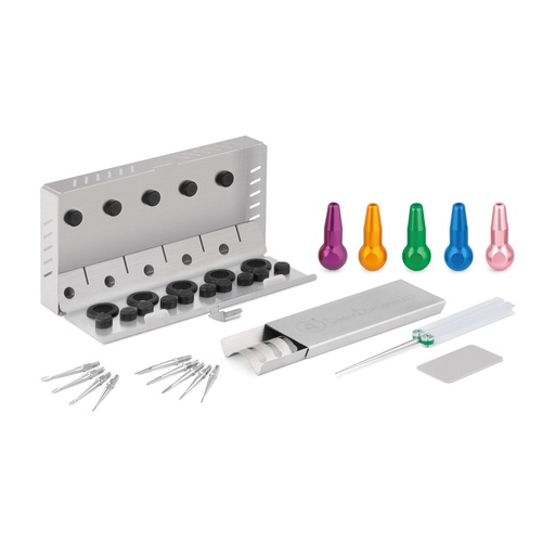 [175071] DENTANOMIC set - gold, consisting of 5 long handles (purple, orange, green, blue and pink) + a set of elevator and luxator blades (9 pieces) + storage stand + honing set + sterilisation container