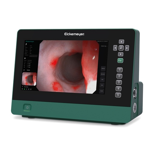 [306200] Sistema endoscopico EickView 5 in 1