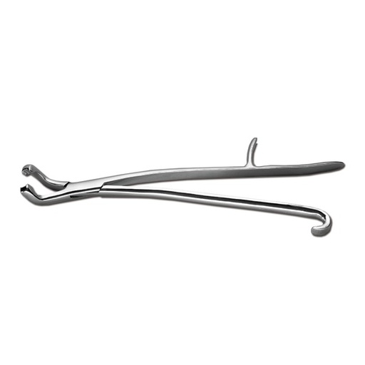 [177524] Pinza denti per cavalli Word Wide Equine tipo REYNOLDS, modello pesante, curvato verso sopra, 43 cm